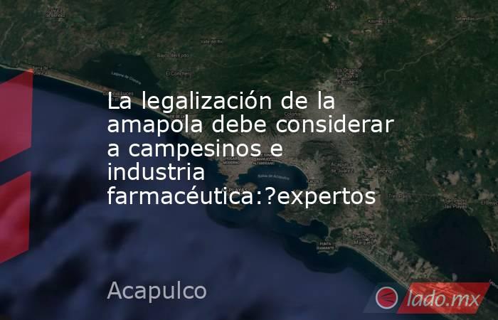 La legalización de la amapola debe considerar a campesinos e industria farmacéutica:?expertos. Noticias en tiempo real