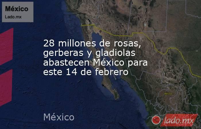 28 millones de rosas, gerberas y gladiolas abastecen México para este 14 de febrero. Noticias en tiempo real
