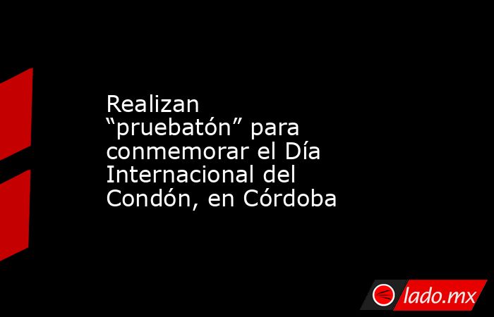 Realizan “pruebatón” para conmemorar el Día Internacional del Condón, en Córdoba. Noticias en tiempo real