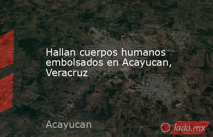 Hallan cuerpos humanos embolsados en Acayucan, Veracruz. Noticias en tiempo real