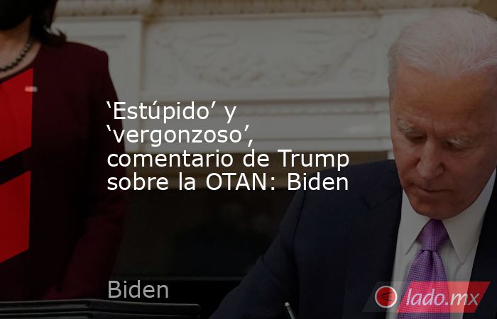 ‘Estúpido’ y ‘vergonzoso’, comentario de Trump sobre la OTAN: Biden. Noticias en tiempo real