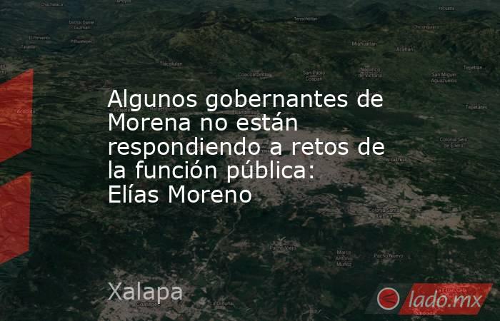Algunos gobernantes de Morena no están respondiendo a retos de la función pública: Elías Moreno. Noticias en tiempo real