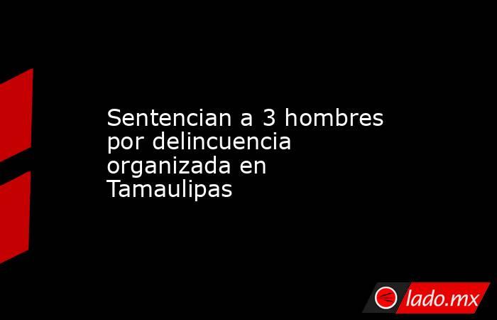 Sentencian a 3 hombres por delincuencia organizada en Tamaulipas. Noticias en tiempo real