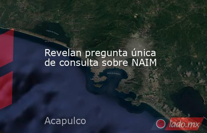 Revelan pregunta única de consulta sobre NAIM. Noticias en tiempo real