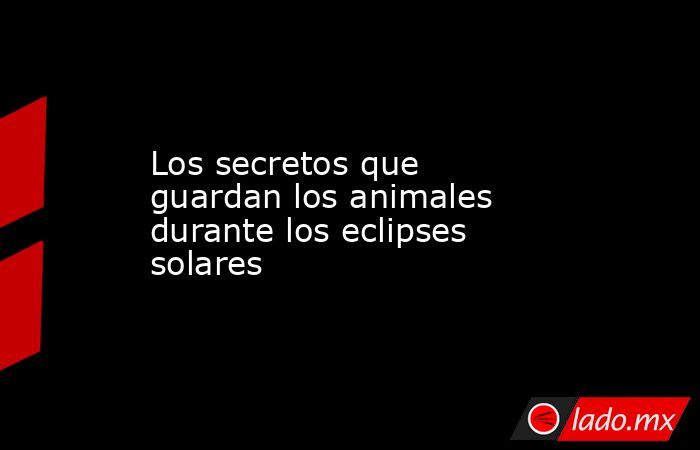 Los secretos que guardan los animales durante los eclipses solares ...