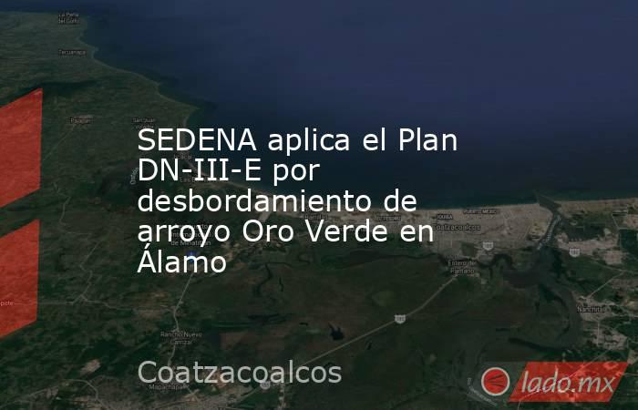 SEDENA aplica el Plan DN-III-E por desbordamiento de arroyo Oro Verde en Álamo. Noticias en tiempo real