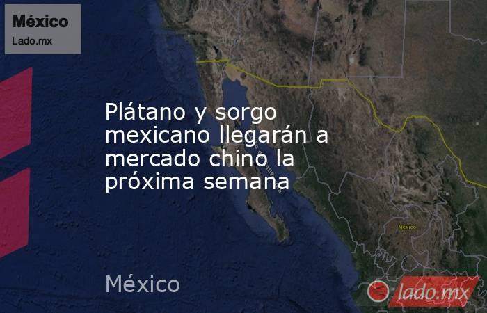 Plátano y sorgo mexicano llegarán a mercado chino la próxima semana. Noticias en tiempo real