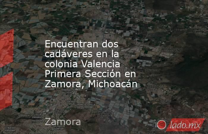 Encuentran dos cadáveres en la colonia Valencia Primera Sección en Zamora, Michoacán. Noticias en tiempo real