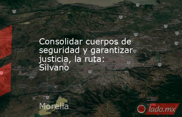 Consolidar cuerpos de seguridad y garantizar justicia, la ruta: Silvano. Noticias en tiempo real