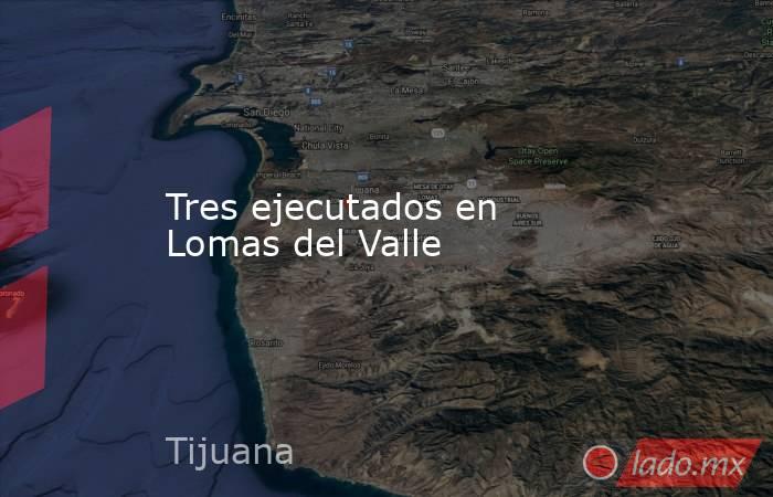 Tres ejecutados en Lomas del Valle. Noticias en tiempo real