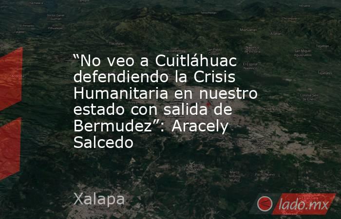 “No veo a Cuitláhuac defendiendo la Crisis Humanitaria en nuestro estado con salida de Bermudez”: Aracely Salcedo. Noticias en tiempo real