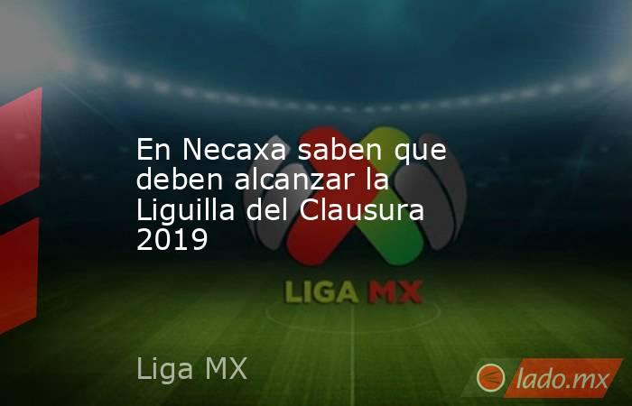 En Necaxa saben que deben alcanzar la Liguilla del Clausura 2019. Noticias en tiempo real