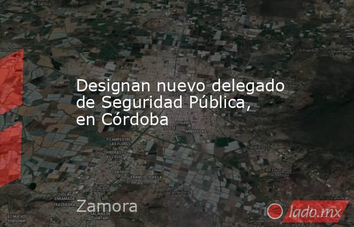 Designan nuevo delegado de Seguridad Pública, en Córdoba. Noticias en tiempo real