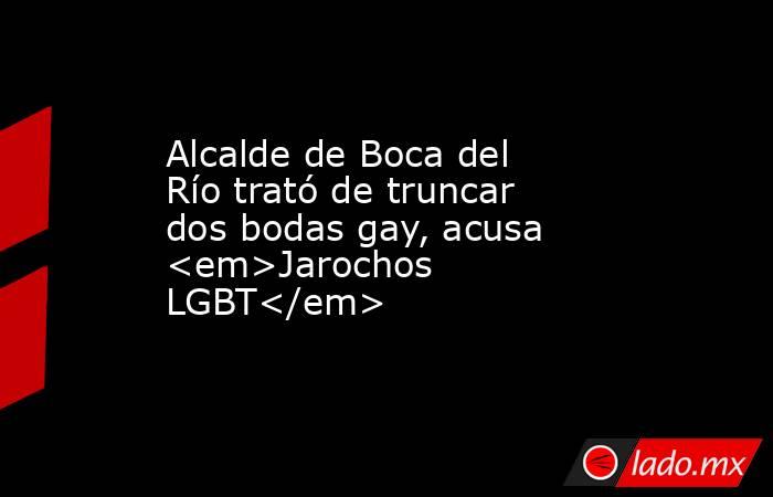 Alcalde de Boca del Río trató de truncar dos bodas gay, acusa <em>Jarochos LGBT</em>. Noticias en tiempo real