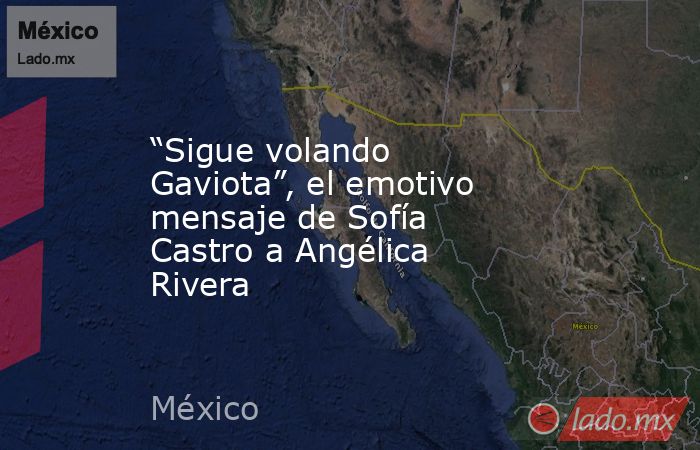 “Sigue volando Gaviota”, el emotivo mensaje de Sofía Castro a Angélica Rivera. Noticias en tiempo real