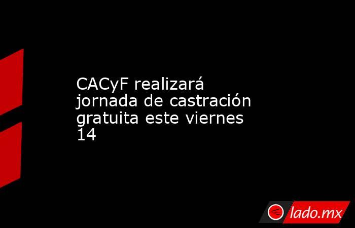CACyF realizará jornada de castración gratuita este viernes 14. Noticias en tiempo real