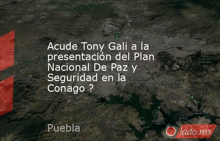 Acude Tony Gali a la presentación del Plan Nacional De Paz y Seguridad en la Conago ?. Noticias en tiempo real