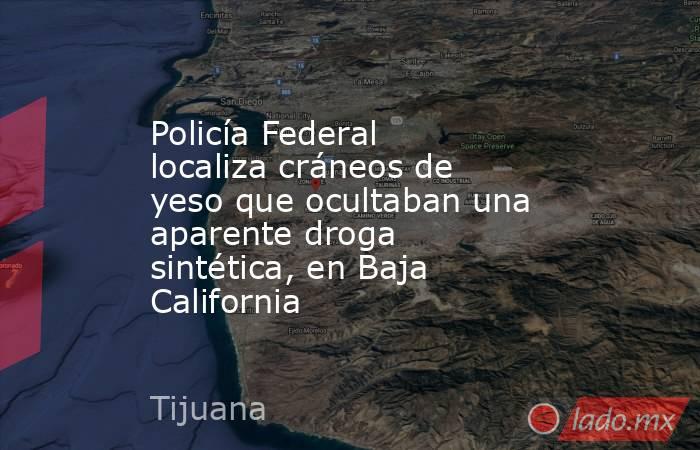 Policía Federal localiza cráneos de yeso que ocultaban una aparente droga sintética, en Baja California. Noticias en tiempo real