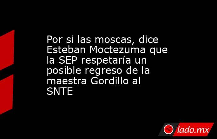 Por si las moscas, dice Esteban Moctezuma que la SEP respetaría un posible regreso de la maestra Gordillo al SNTE. Noticias en tiempo real