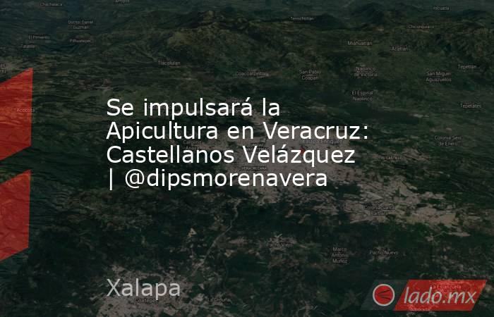 Se impulsará la Apicultura en Veracruz: Castellanos Velázquez | @dipsmorenavera. Noticias en tiempo real