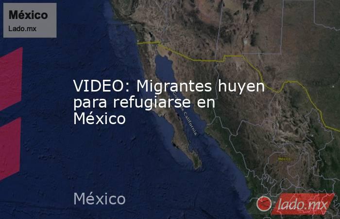 VIDEO: Migrantes huyen para refugiarse en México. Noticias en tiempo real