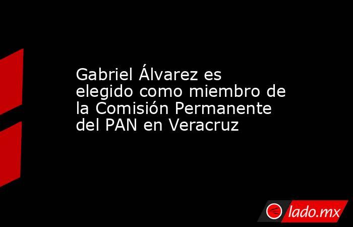 Gabriel Álvarez es elegido como miembro de la Comisión Permanente del PAN en Veracruz. Noticias en tiempo real