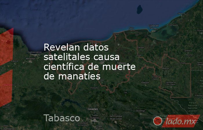 Revelan datos satelitales causa científica de muerte de manatíes. Noticias en tiempo real