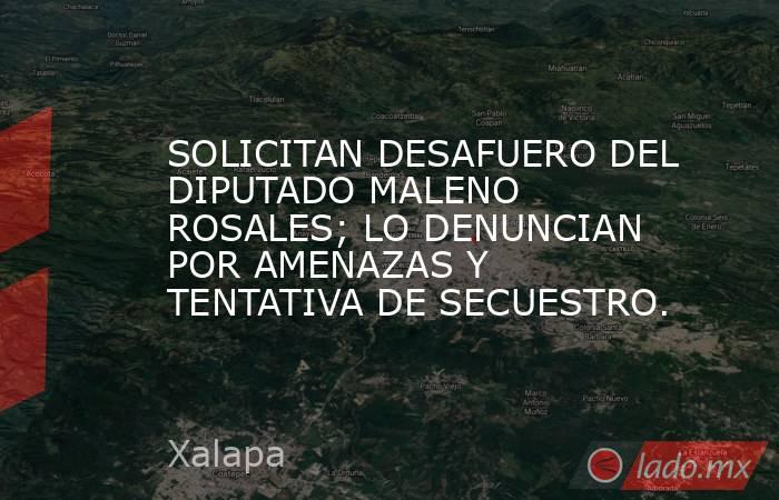 SOLICITAN DESAFUERO DEL DIPUTADO MALENO ROSALES; LO DENUNCIAN POR AMENAZAS Y TENTATIVA DE SECUESTRO.. Noticias en tiempo real