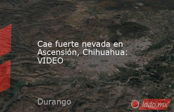 Cae fuerte nevada en Ascensión, Chihuahua: VIDEO. Noticias en tiempo real