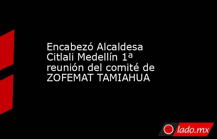Encabezó Alcaldesa Citlali Medellín 1ª reunión del comité de ZOFEMAT TAMIAHUA. Noticias en tiempo real