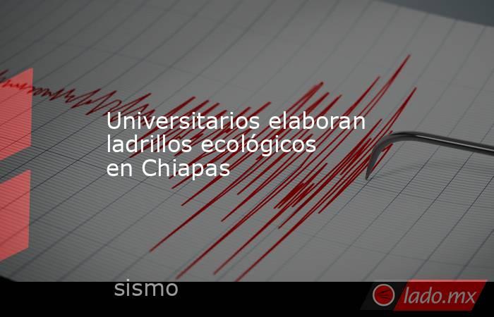 Universitarios elaboran ladrillos ecológicos en Chiapas. Noticias en tiempo real