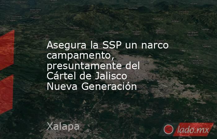 Asegura la SSP un narco campamento, presuntamente del Cártel de Jalisco Nueva Generación. Noticias en tiempo real