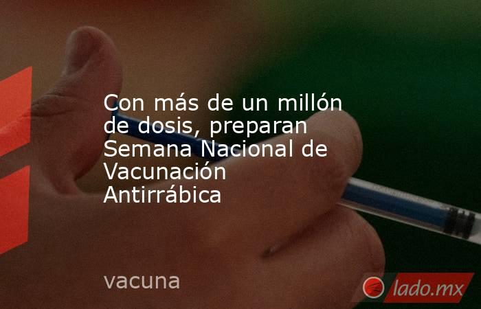 Con más de un millón de dosis, preparan Semana Nacional de Vacunación Antirrábica. Noticias en tiempo real
