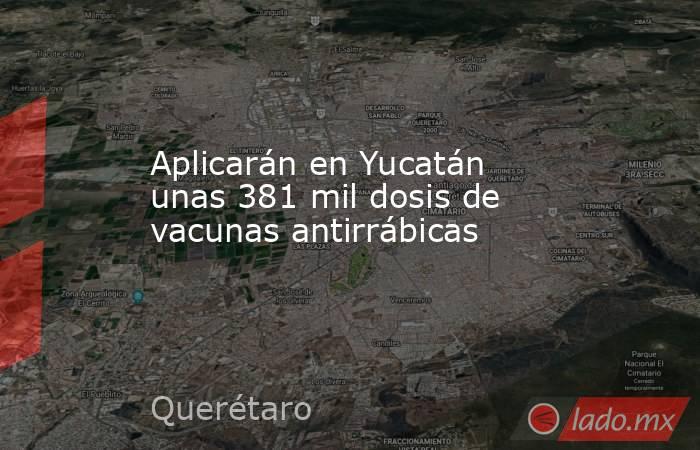 Aplicarán en Yucatán unas 381 mil dosis de vacunas antirrábicas. Noticias en tiempo real