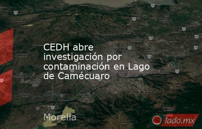 CEDH abre investigación por contaminación en Lago de Camécuaro. Noticias en tiempo real