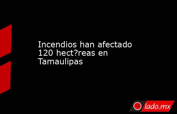 Incendios han afectado 120 hect?reas en Tamaulipas. Noticias en tiempo real