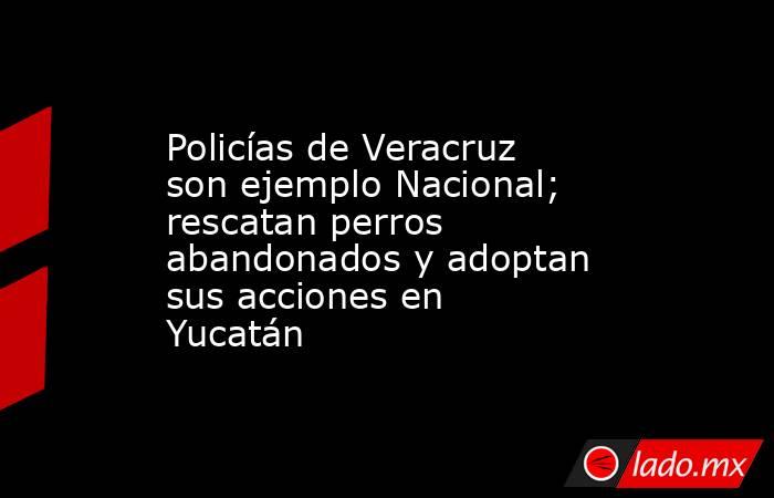 Policías de Veracruz son ejemplo Nacional; rescatan perros abandonados y adoptan sus acciones en Yucatán. Noticias en tiempo real