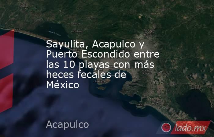 Sayulita, Acapulco y Puerto Escondido entre las 10 playas con más heces fecales de México. Noticias en tiempo real
