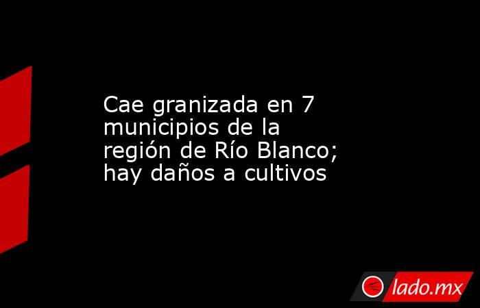 Cae granizada en 7 municipios de la región de Río Blanco; hay daños a cultivos. Noticias en tiempo real