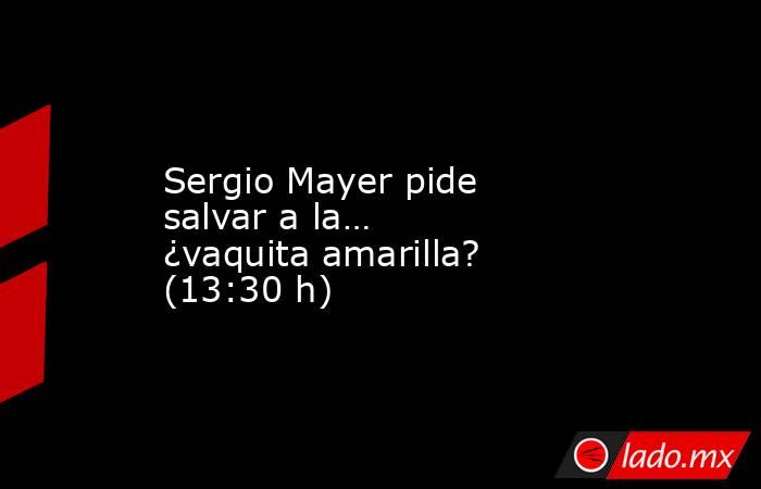 Sergio Mayer pide salvar a la… ¿vaquita amarilla? (13:30 h). Noticias en tiempo real