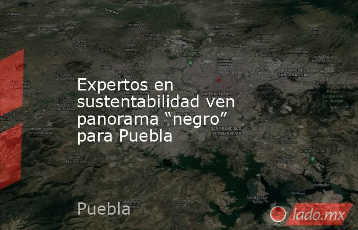 Expertos en sustentabilidad ven panorama “negro” para Puebla. Noticias en tiempo real