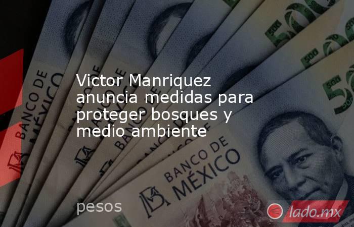 Victor Manriquez anuncia medidas para proteger bosques y medio ambiente. Noticias en tiempo real