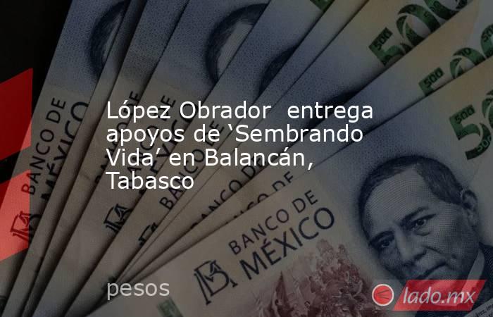 López Obrador  entrega apoyos de ‘Sembrando Vida’ en Balancán, Tabasco. Noticias en tiempo real