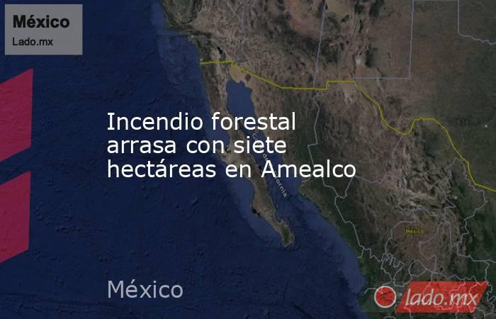 Incendio forestal arrasa con siete hectáreas en Amealco. Noticias en tiempo real