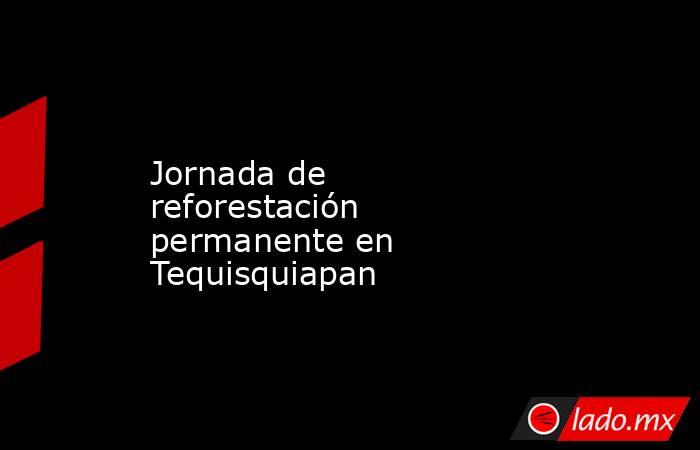 Jornada de reforestación permanente en Tequisquiapan. Noticias en tiempo real