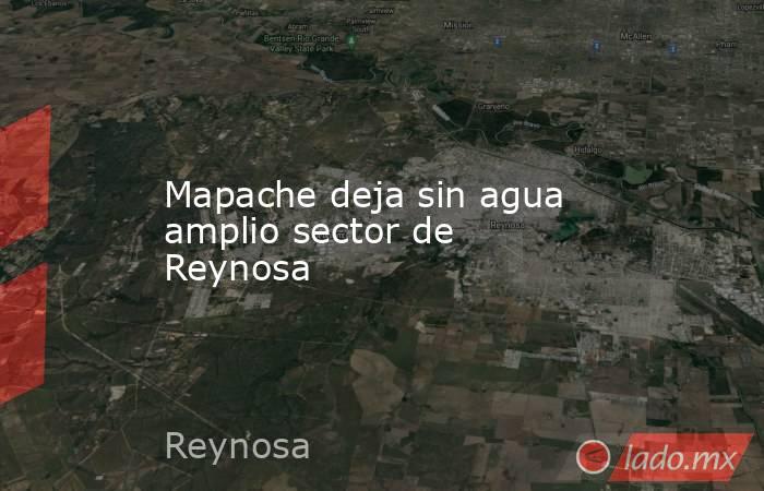 Mapache deja sin agua amplio sector de Reynosa. Noticias en tiempo real