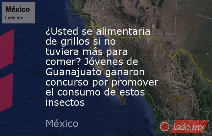 ¿Usted se alimentaria de grillos si no tuviera más para comer? Jóvenes de Guanajuato ganaron concurso por promover el consumo de estos insectos. Noticias en tiempo real
