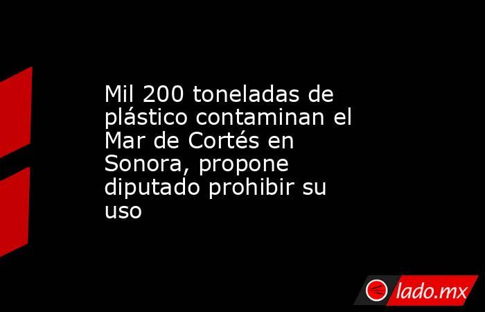 Mil 200 toneladas de plástico contaminan el Mar de Cortés en Sonora, propone diputado prohibir su uso. Noticias en tiempo real