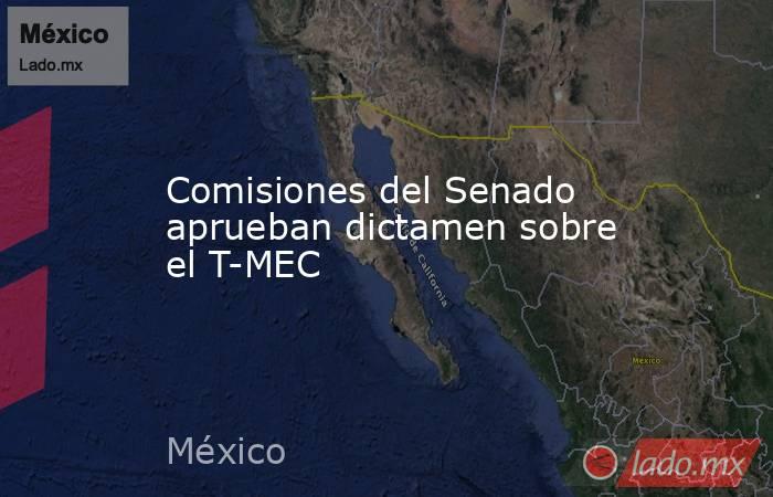 Comisiones del Senado aprueban dictamen sobre el T-MEC. Noticias en tiempo real