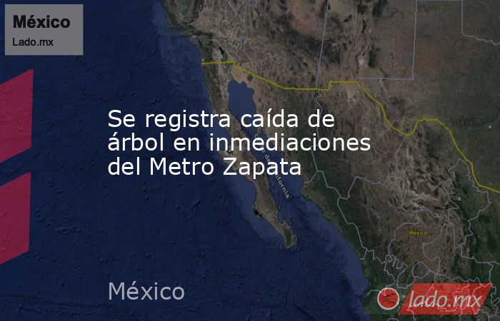 Se registra caída de árbol en inmediaciones del Metro Zapata. Noticias en tiempo real
